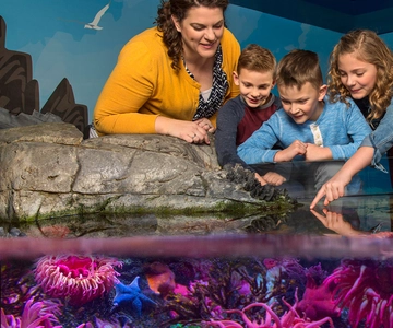 SEA LIFE Мичиганский аквариум Общий вход
