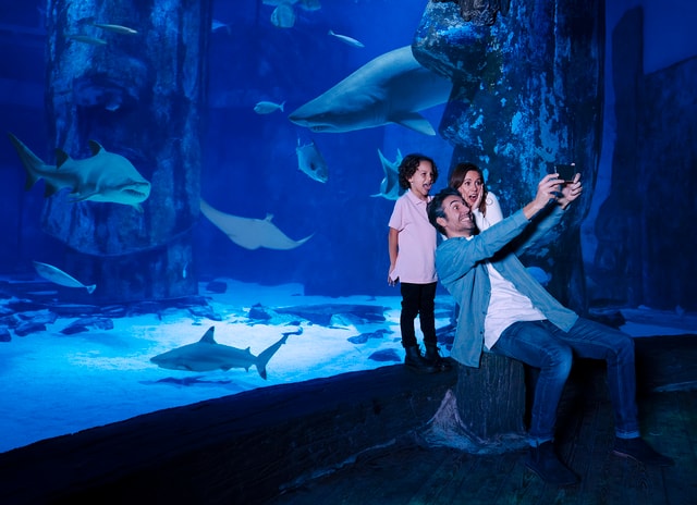 Visit Mall of America Sea Life Minnesota Aquarium Entry Ticket in Minnesota