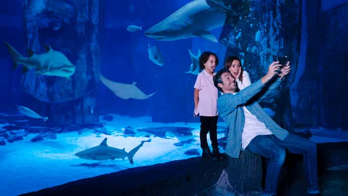 Mall of America: entrada al acuario SEA LIFE Minnesota