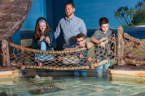 Bloomington: toegangsbewijs voor Sea Life Minnesota Aquarium