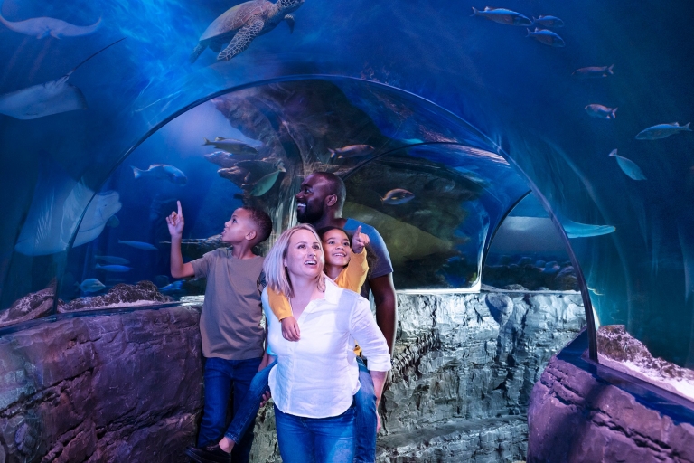 Bloomington: toegangsbewijs voor Sea Life Minnesota Aquarium