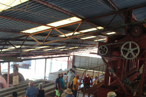 Tapachula: Argovia Coffee, Flowers, and Legacy Tour