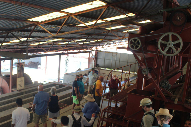 Tapachula: Argovia Coffee, Flowers, and Legacy Tour