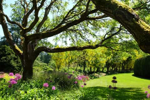Vancouver: VanDusen Gardens or Lookout Tower - Private Tour