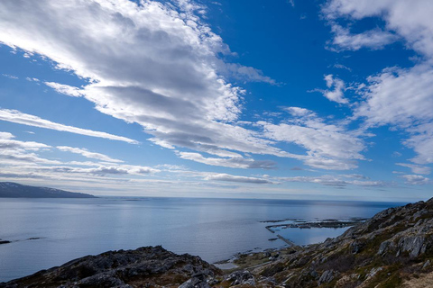 From Tromsø: Experience Vannøya Island Wild, Remote & Real