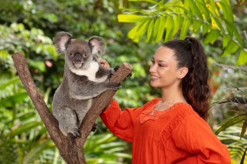 Kuranda: Przyjaciele w Rainforest Koala Gardens & Birdworld