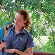Friends in the Rainforest Package: Koala Gardens & Birdworld