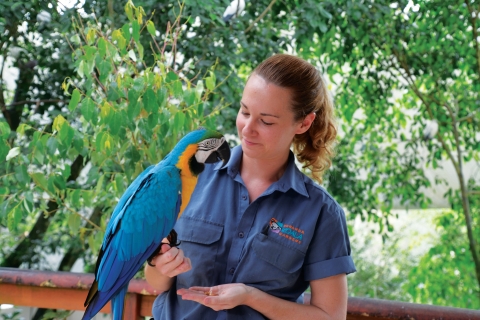 Kuranda : amis dans la forêt tropicale Koala Gardens & Birdworld