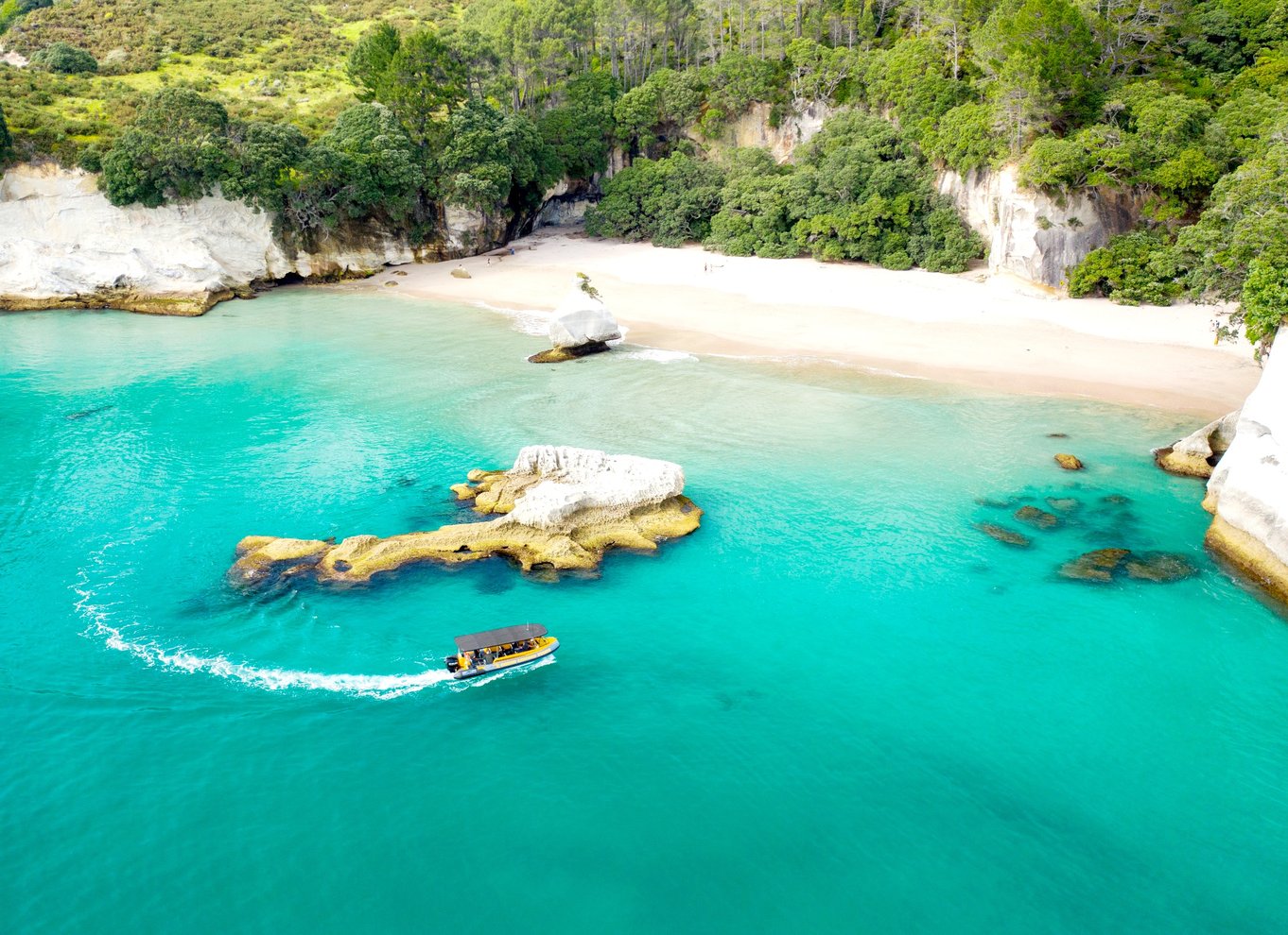 Whitianga: Cathedral Cove 2 timers bådtur