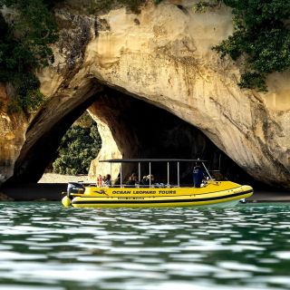 Whitianga: Bootstour in der Mercury Bay mit Cathedral Cove