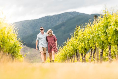 Marlborough: Viinitilavierailu ja maisteluistunto
