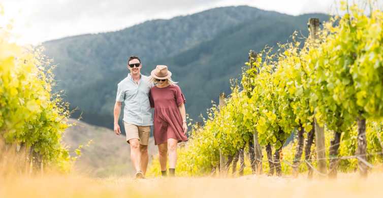 Marlborough: Şarap İmalathaneleri Ziyareti ve Tadım Seansı