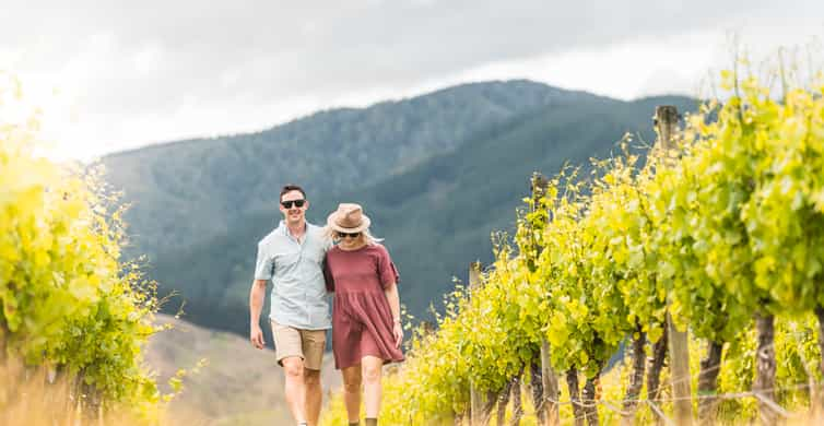 Marlborough: Wineries Visit and Tasting Session