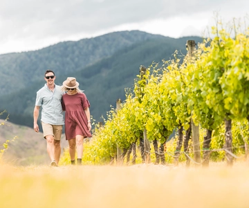 Marlborough: Visita alle cantine e degustazione
