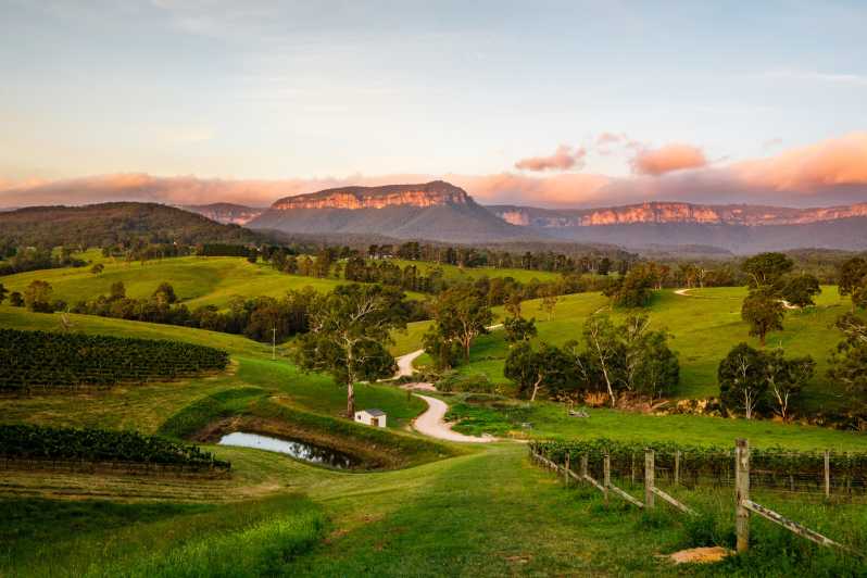 From Katoomba: Megalong Valley Wine Trail
