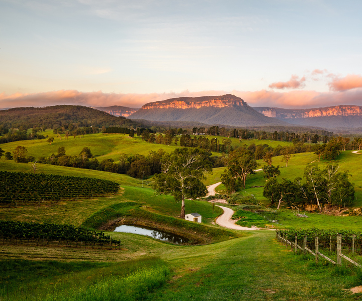 From Katoomba: Megalong Valley Wine Trail