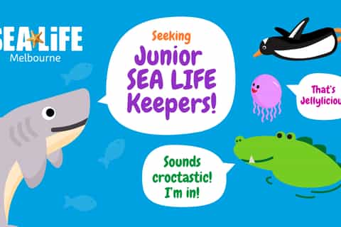 Melbourne: entrada al acuario SEA LIFE
