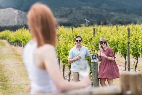 Marlborough: Visita a vinícolas com degustações e almoço de dois pratos