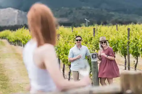 Marlborough: Wineries Visit with Tastings and 2-Course Lunch