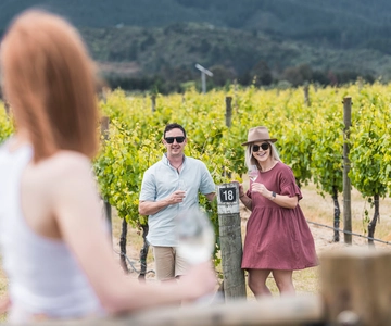 Marlborough: Visita alle cantine con degustazioni e pranzo di due portate