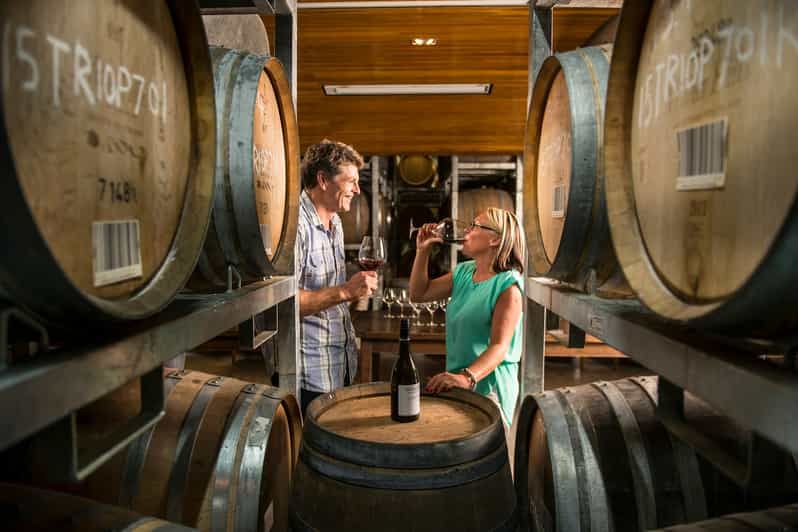 Marlborough: Wineries Visit With Tastings And 2-Course Lunch | GetYourGuide