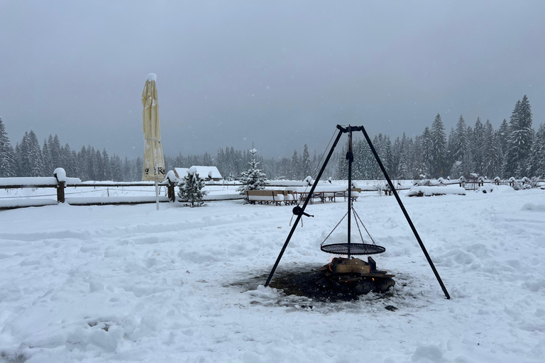 Tatra Mountains: Zakopane Private Ski Tour with Instructor Krakow: Instructor lead Ski Tour - Tatra Mountains