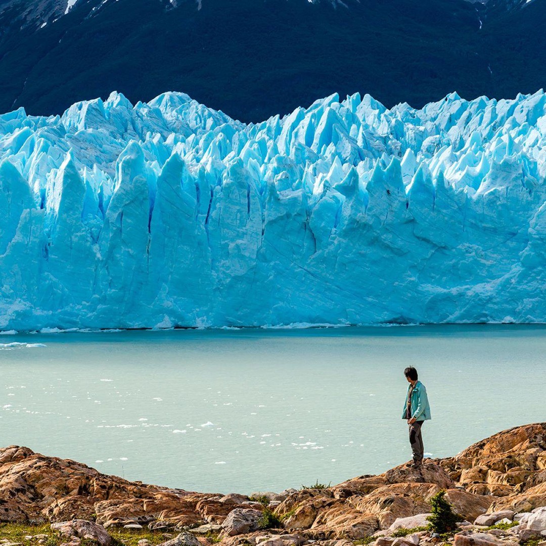 Galería de fotos para redes