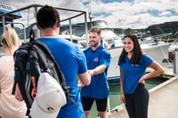 Da Havelock, Marlborough suona Mail Boat per tutta la giornata crociera - Hizvo