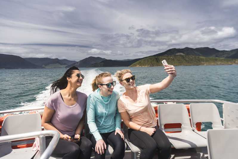 From Havelock: Marlborough Sounds Mail Boat Full-Day Cruise