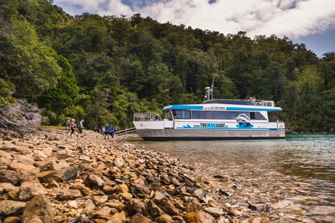 From Havelock: Marlborough Sounds Mail Boat Full-Day Cruise - Image 2