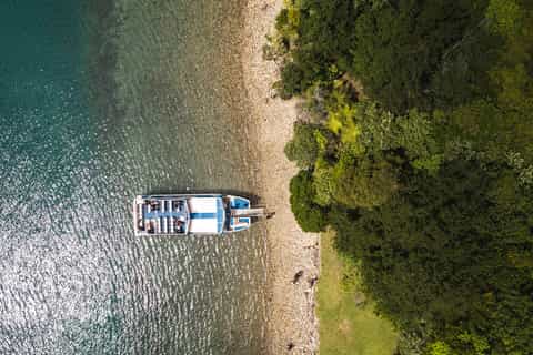 From Havelock: Marlborough Sounds Mail Boat Full-Day Cruise