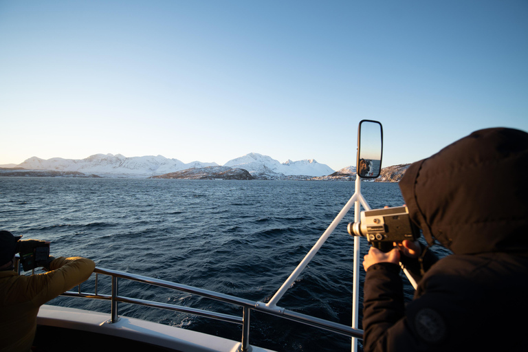 Von Tromsø aus: Walbeobachtungs-Safari auf dem Hochgeschwindigkeits-Katamaran