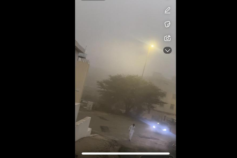 Makkah or Jeddah to Al-Hada, Al-Shafa, and Taif City Tour A journey full of experiences، learn about Saudi hospitality