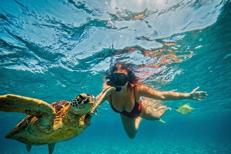 Mirissa Guided Snorkeling Tour with Sea Turtle & Coral Reef