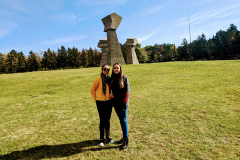 Belgrado: excursión privada de un día a Niš