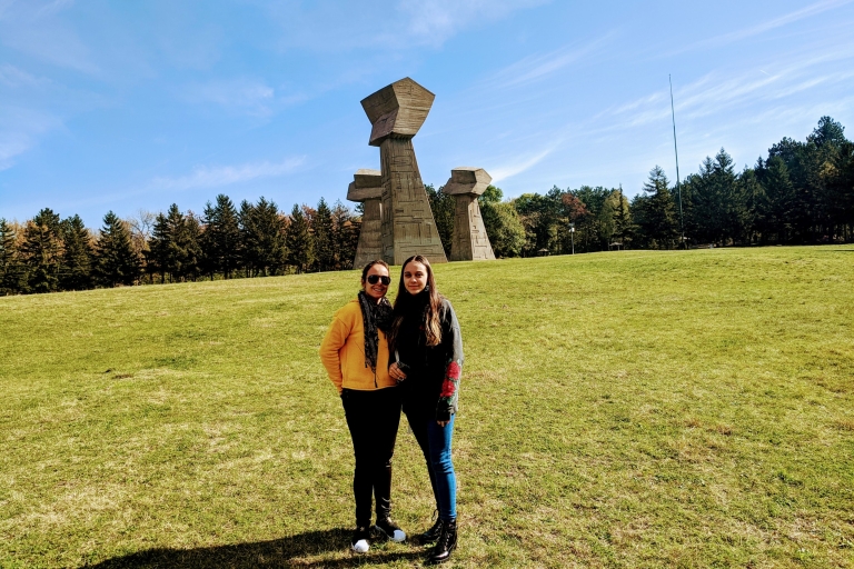 Belgrade: excursion privée d'une journée à Niš