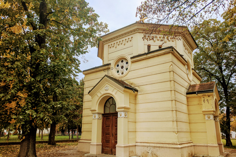 Belgrado: excursión privada de un día a Niš