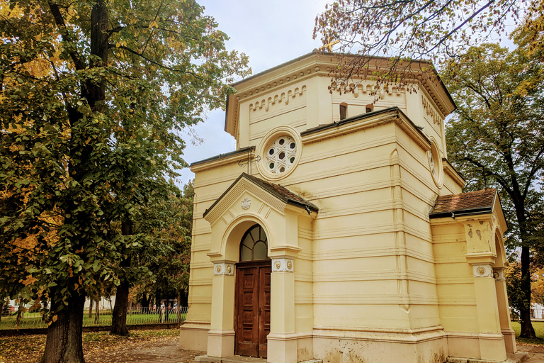 Belgrado: excursión privada de un día a Niš