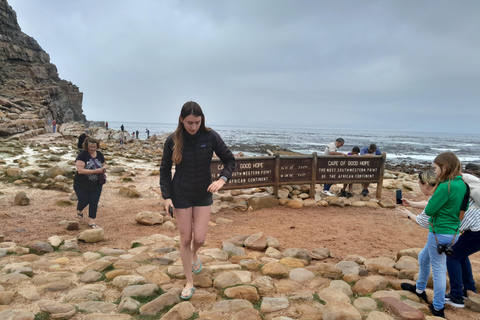 Robben Island, Penguins & Cape of Good Hope Adventure