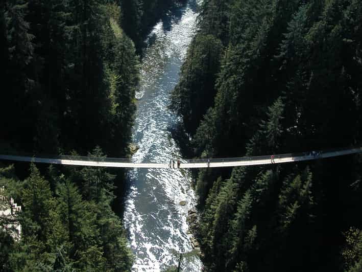 Vancouver Private Grouse Mountain & Capilano Bridge Tour GetYourGuide