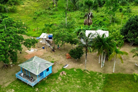 Manaus: Riverside Experience Tour, Fishing, Connection and Lunch Included.