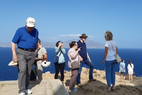 Mykonos: Sightseeing Tour mit Abholung vom TerminalTreffpunkt Mykonos Neuer Hafen