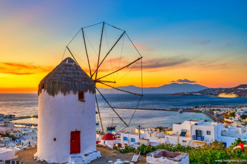 Cours de cuisine en petit groupe à Mykonos