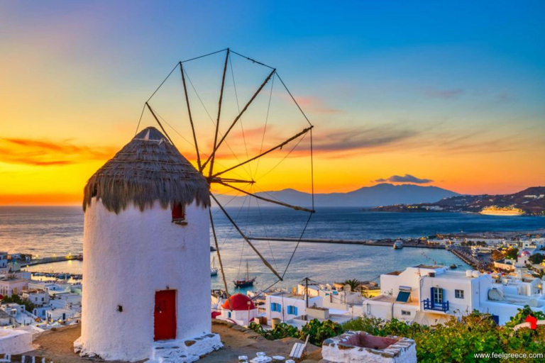 Cours de cuisine en petit groupe à Mykonos