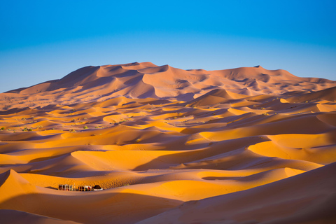 3-day Marrakech to Fes desert tour