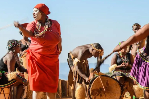 Durban: Tala Game Reserve, Phezulu Park en markttour