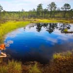 Da Tallinn: escursione al Parco Nazionale di Lahemaa