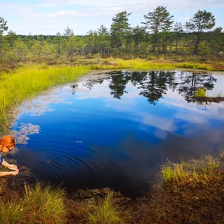From Tallinn: Day Trip to Lahemaa National Park
