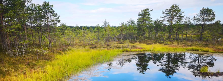 Au départ de Tallinn : excursion au parc national de Lahemaa