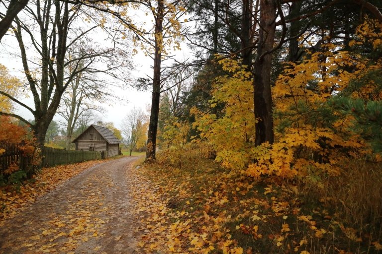 De Tallinn : excursion privée au parc national de Lahemaa